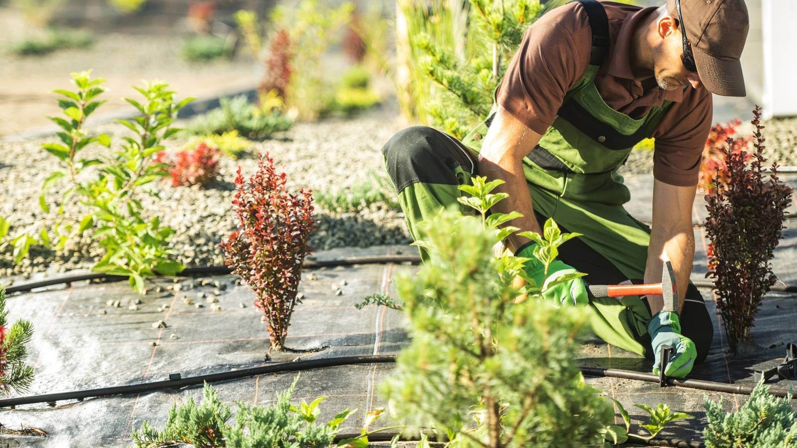 Landscaping website template